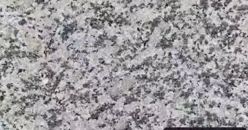 拉萨 芙蓉白（芝麻白大花）火烧面