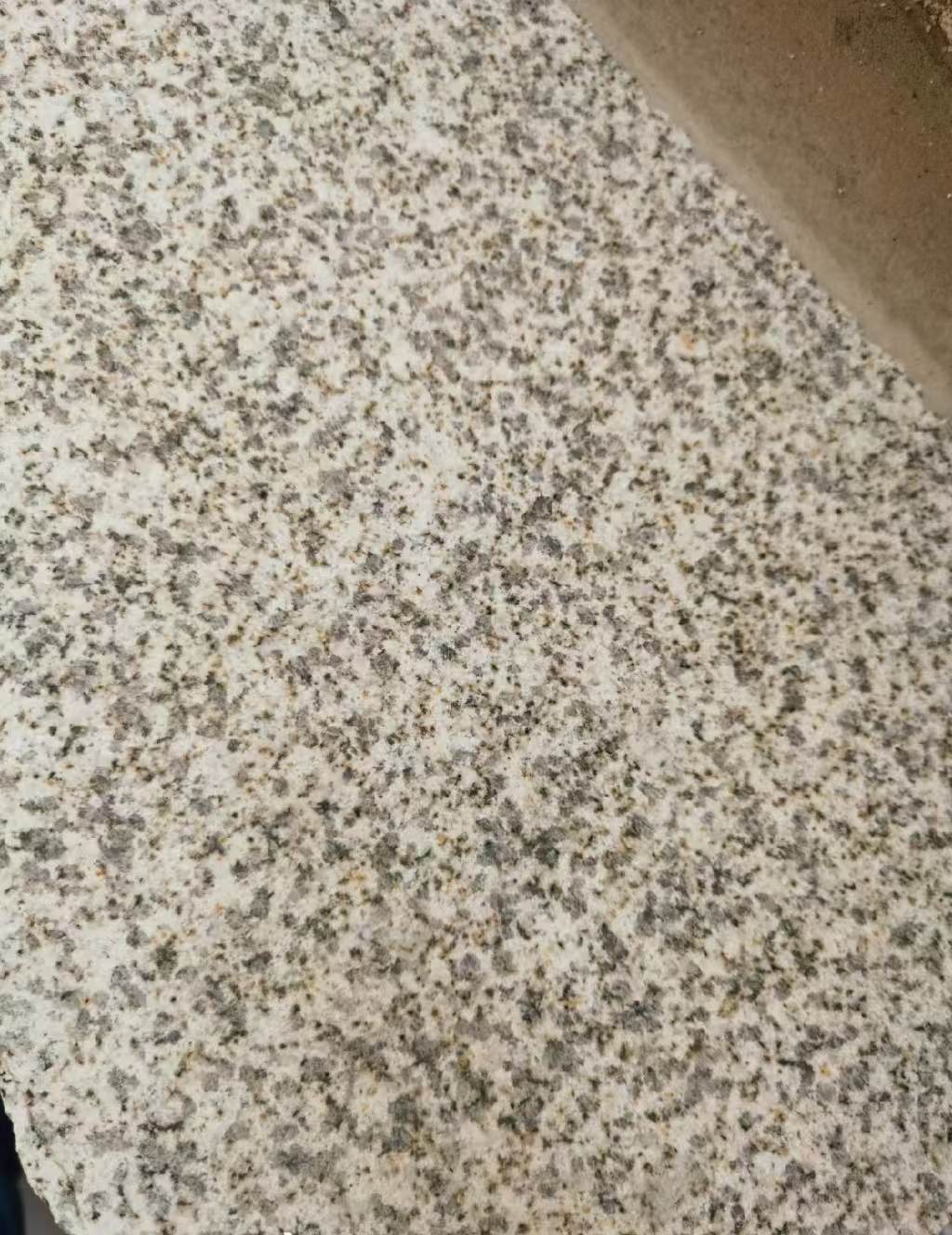 拉萨 黄金麻中黄光面