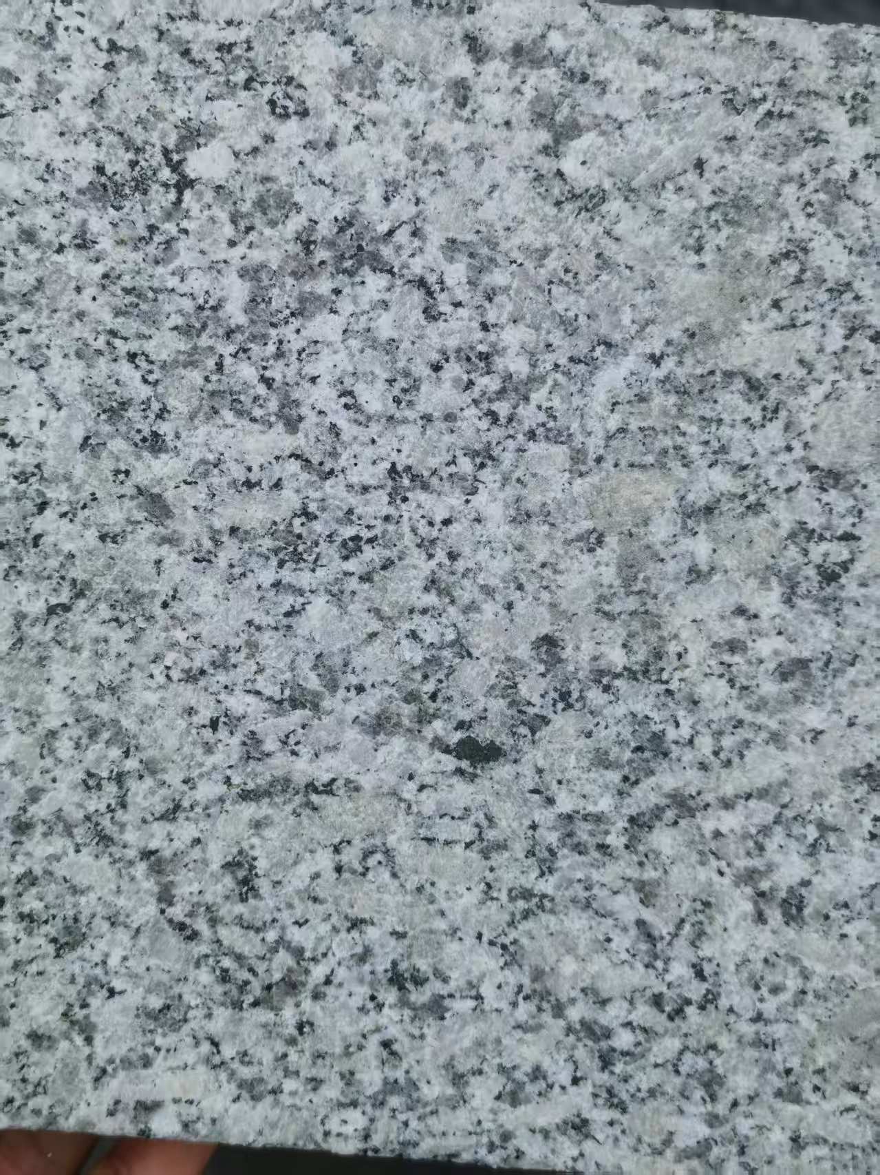 拉萨 芙蓉白火烧面