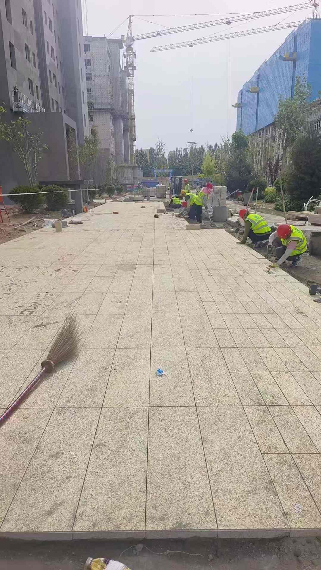 拉萨黄金麻荔枝面地铺案例