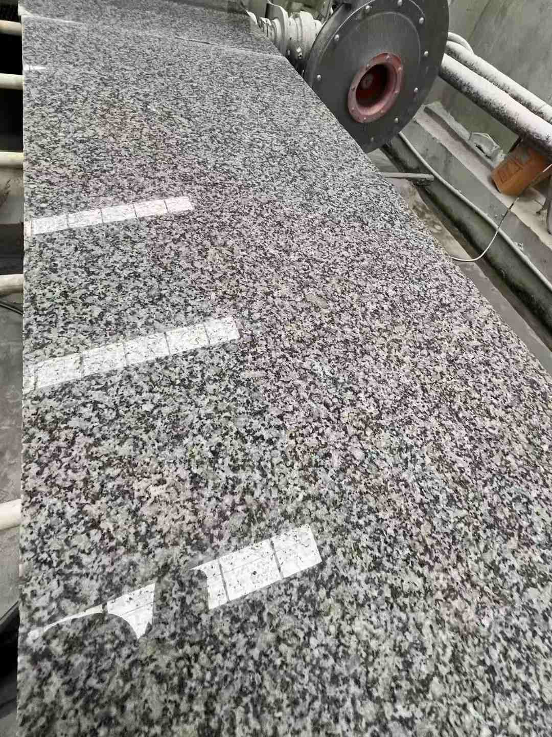 拉萨 芙蓉白光面